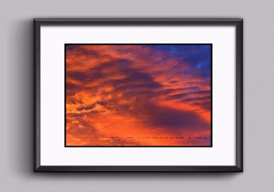 Crows Watching a Fiery Sky