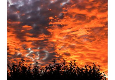 Fire In The Sky (Print Only)