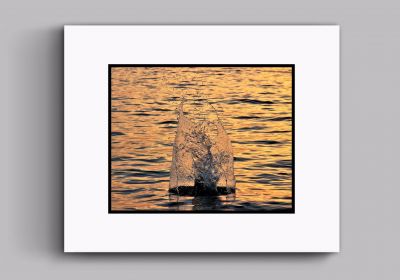 Water Sculpture (Double Card Mount)