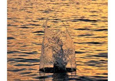 Water Sculpture (Print Only)